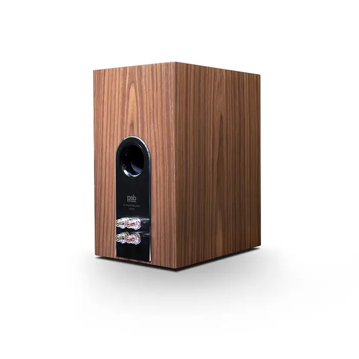 Synchrony B600 - Haut-Parleur de Bibliothèque Premium (Paire)