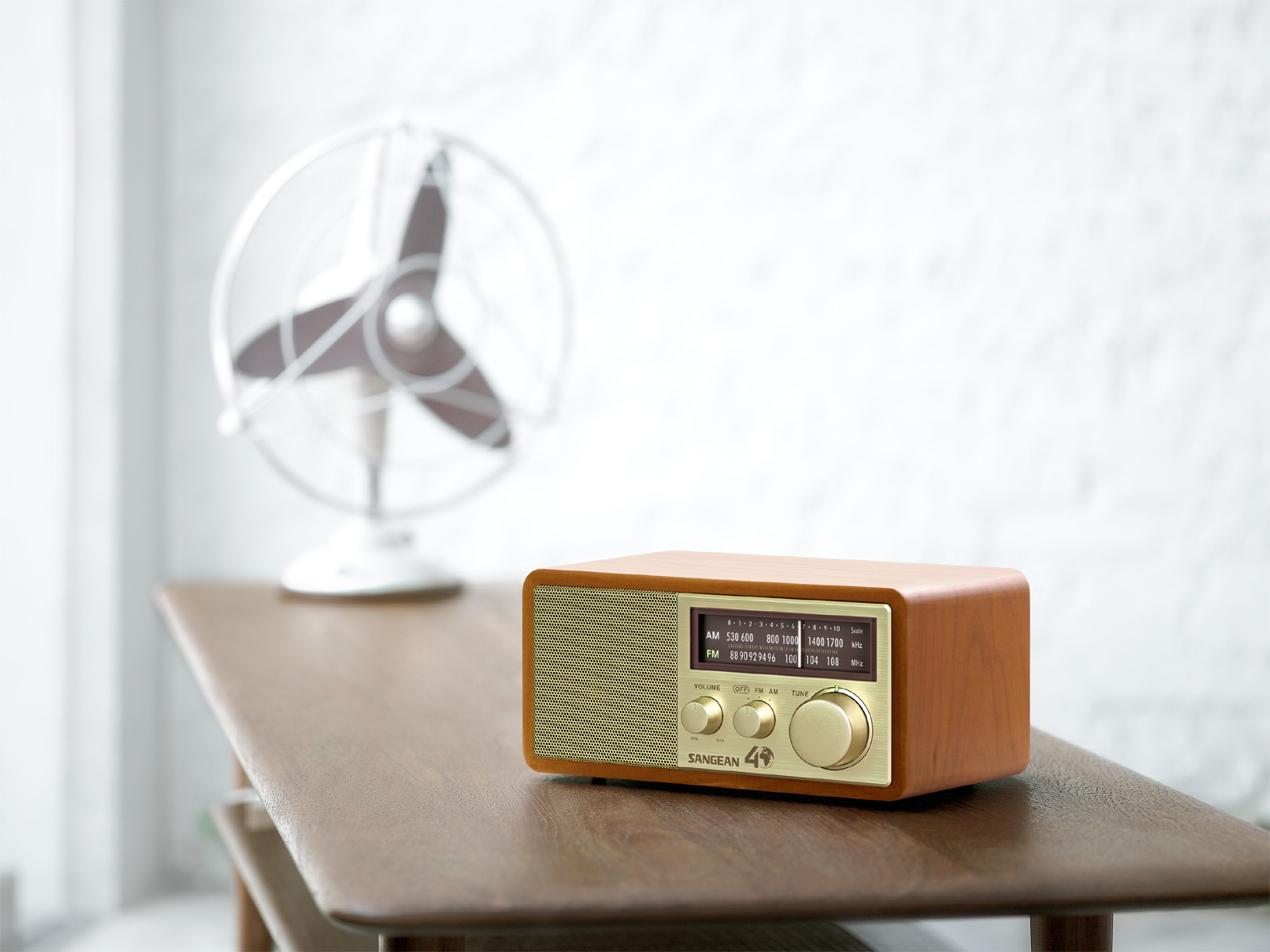 Radio de table AM / FM Spécial Édition WR-11SE