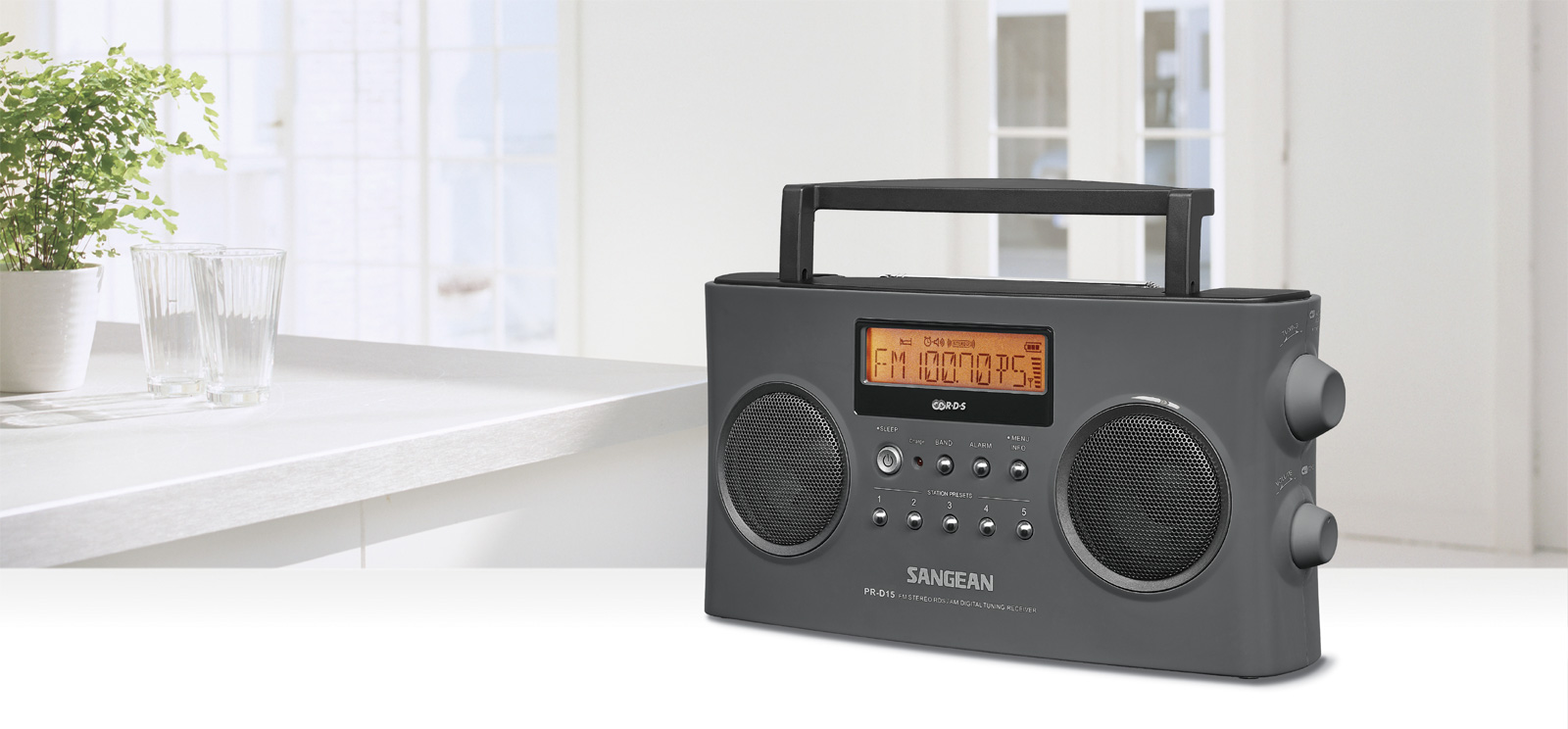 Radio portable AM / FM - Stéréo RBDS avec synthonisateur PLL PR-D15